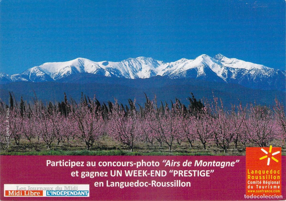 Cartes Postales: Postal de Paisaje Monta&ntilde;oso y Almendros en Flor, Languedoc-Roussillon