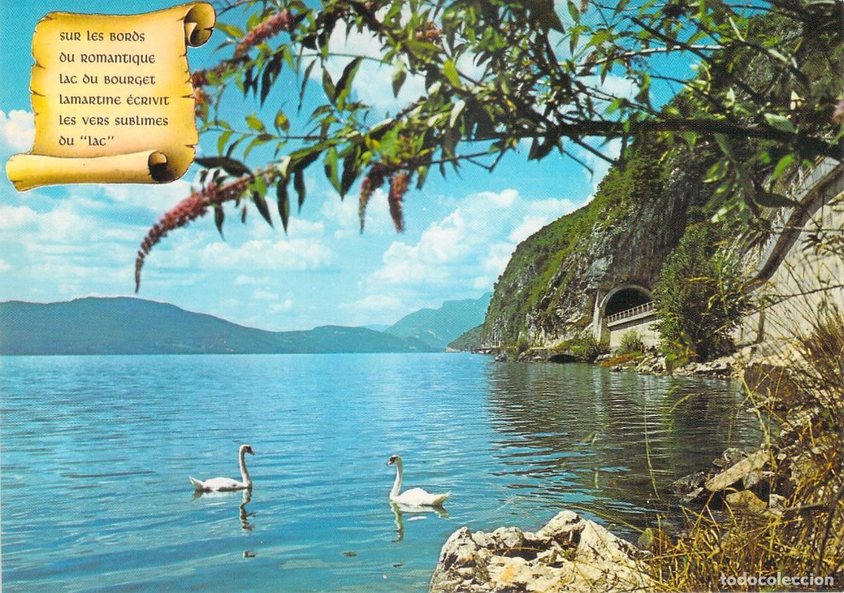 Postales: Tarjeta Postal Lac du Bourget Francia Lamartine con Cisnes