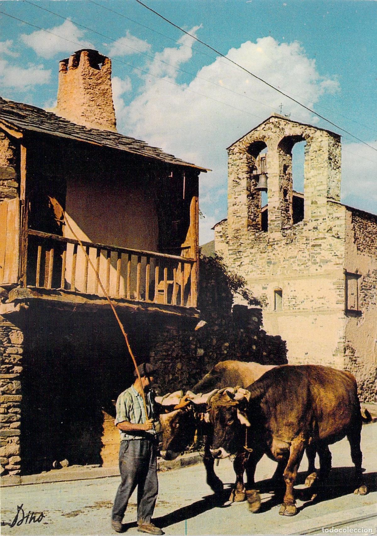 Postales: Postal Estavar Pirineos Orientales Vida Campesina con Bueyes