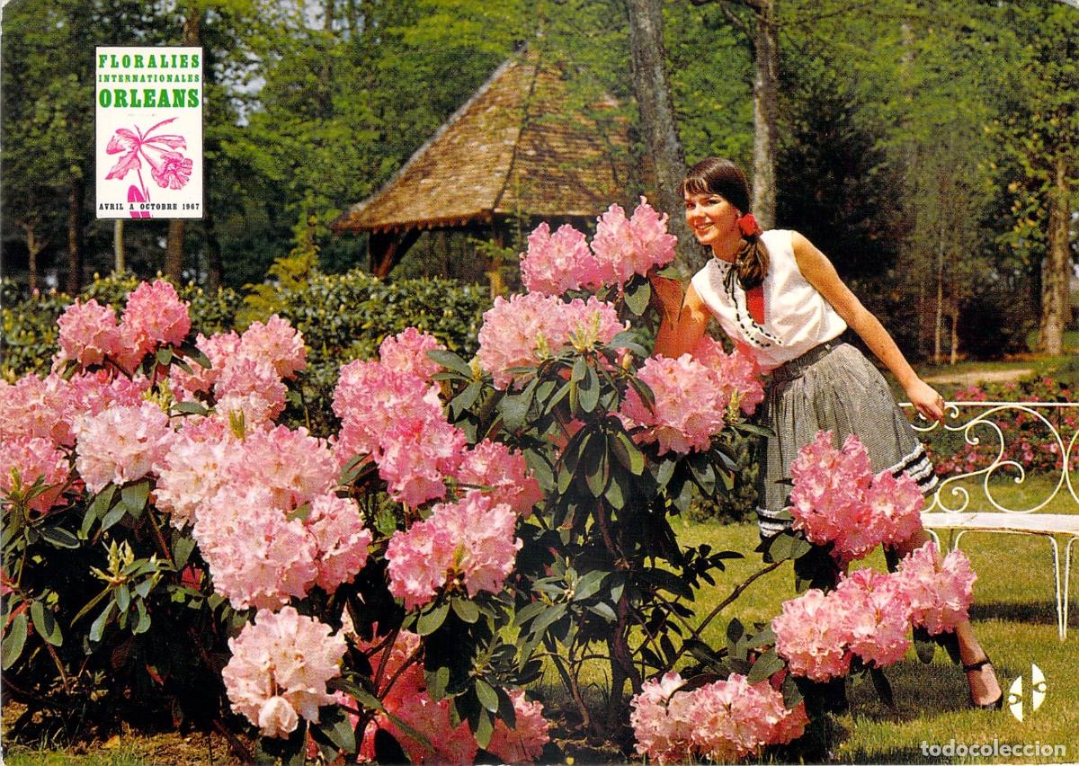 Postales: Postal Parc Floral Orl&eacute;ans La Source Floralies Internationales