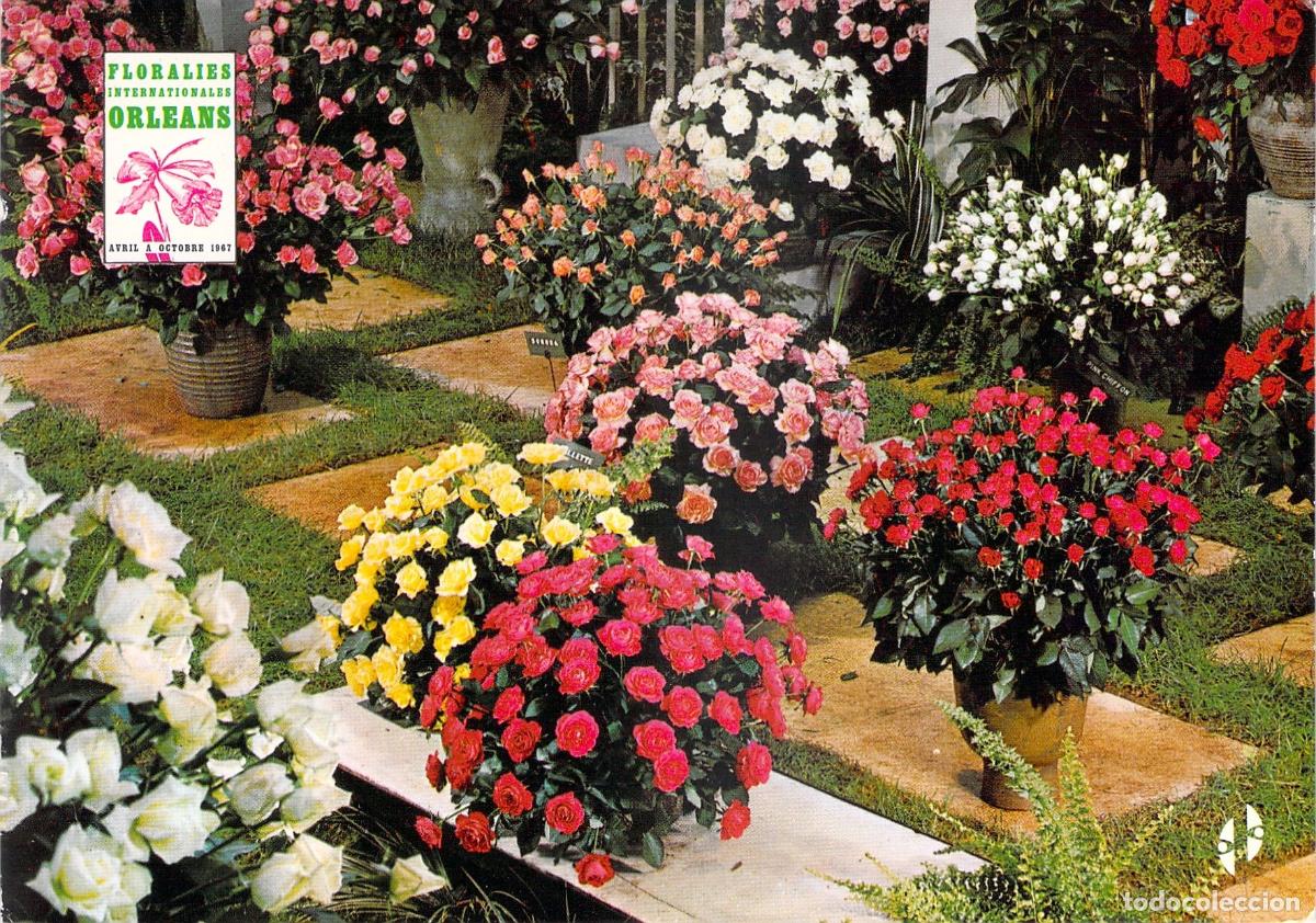 Postales: Postal de los Invernaderos del Parc Floral, Orl&eacute;ans - Floralies Internationales