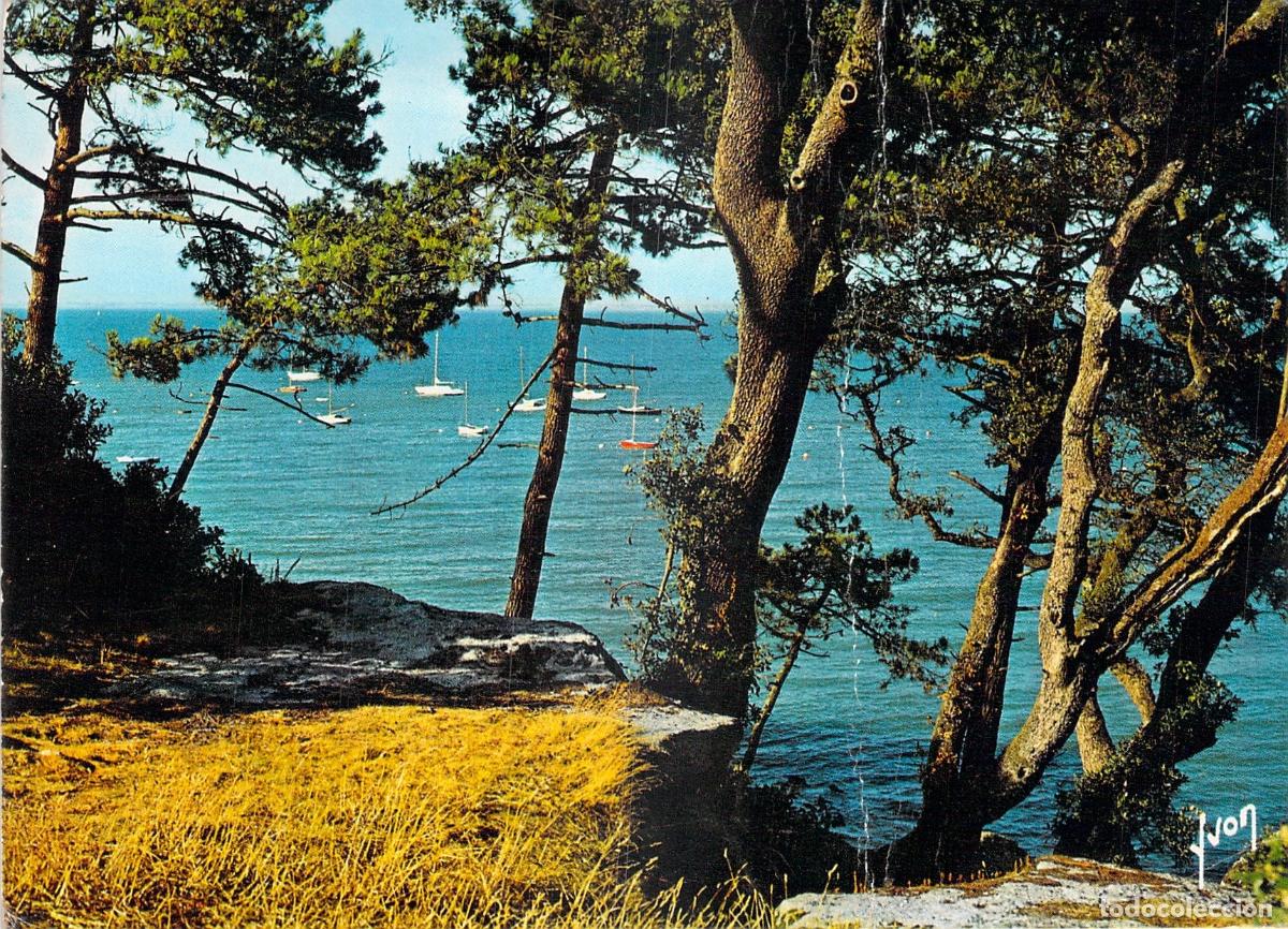 Postales: Postal de Noirmoutier, Le Bois de la Chaize, Vend&eacute;e, Francia