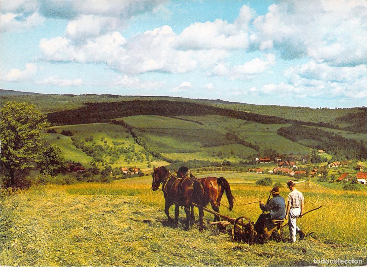 Postales: Postal Paisaje Rural en el Bosque de Odenwald, Alemania, Agricultura