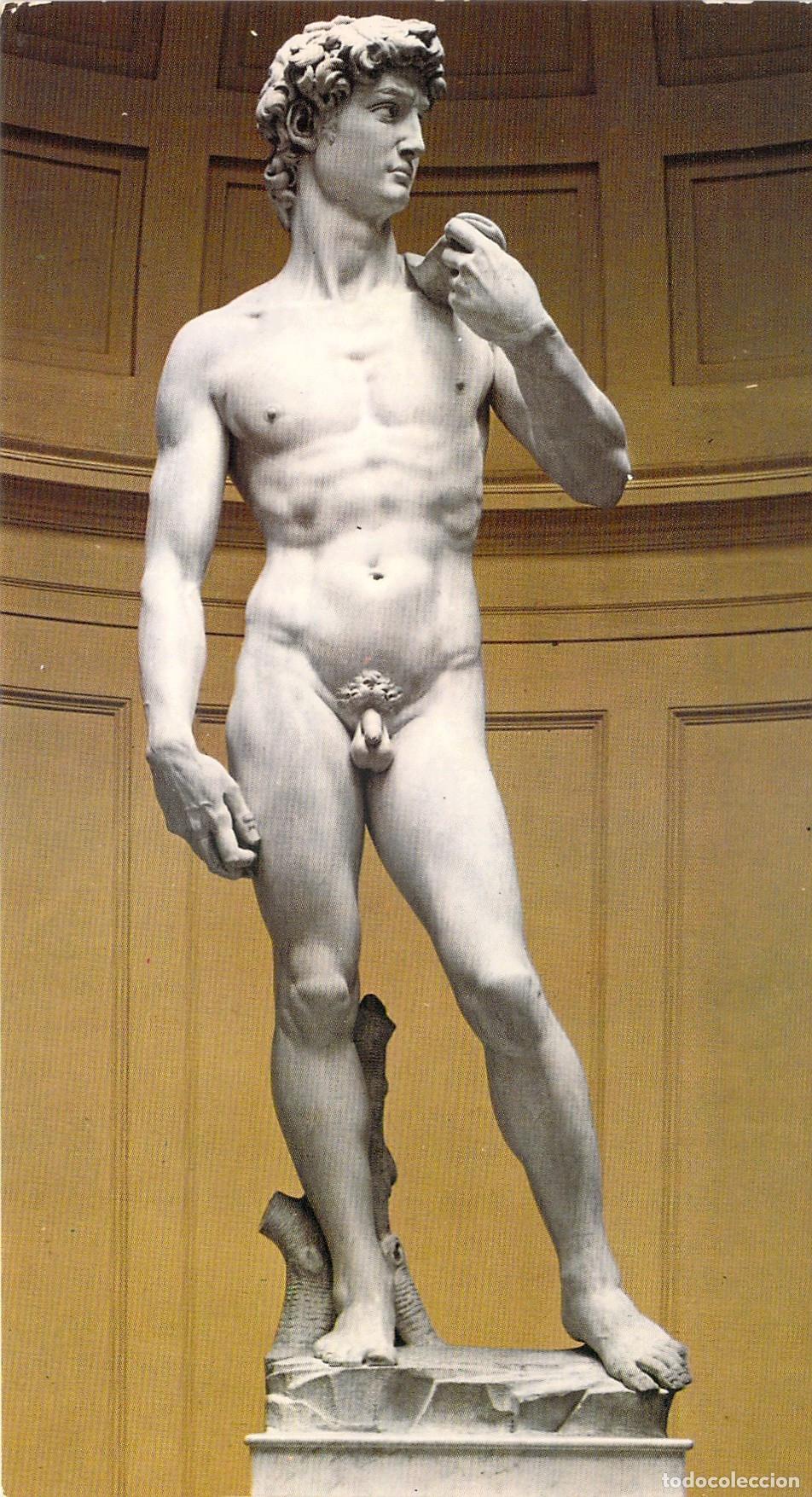Postales: Postal de la Estatua David de Miguel &Aacute;ngel, Florencia, Italia