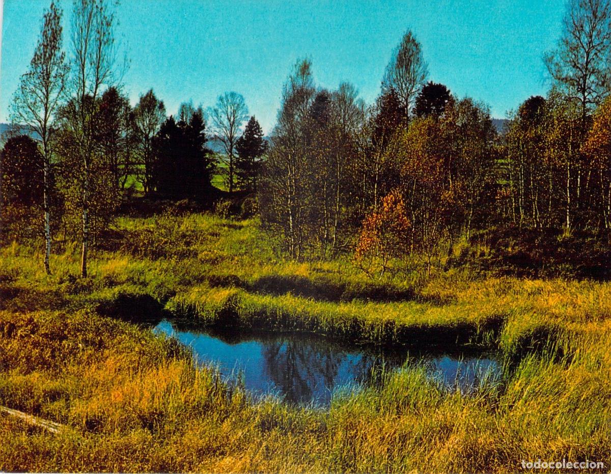 Postales: Postal de la Turbera del Cachot, La Br&eacute;vine, Suiza