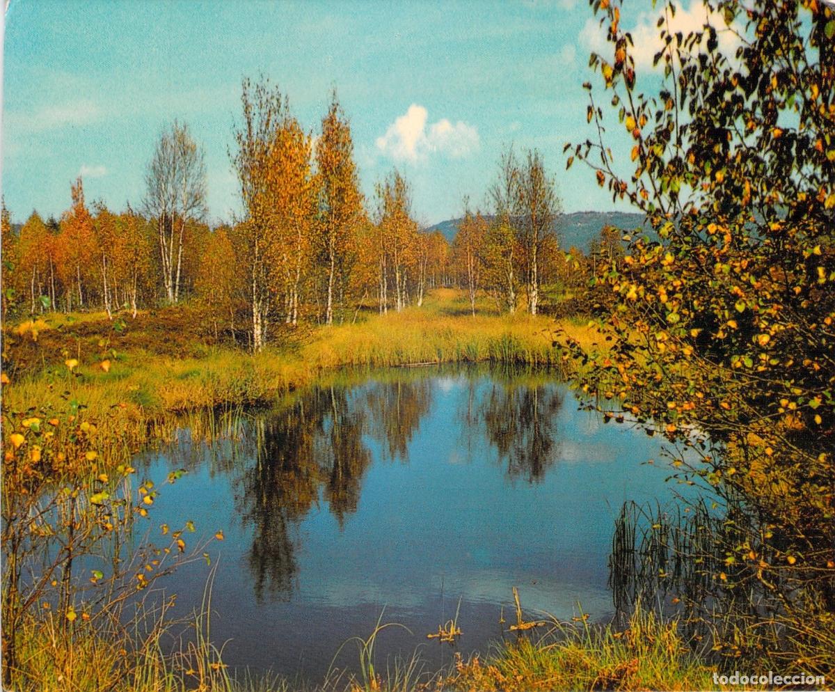 Postales: Tarjeta Postal Reserva Natural Le Bois-des-Lattes, Suiza