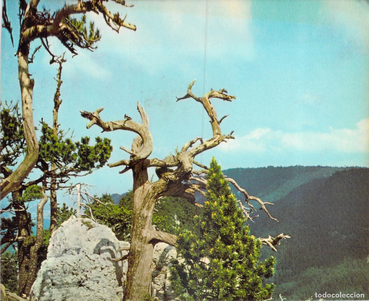 Postales: Postal Reserva Natural Creux-du-Van Au Dos-d'Ane Suiza