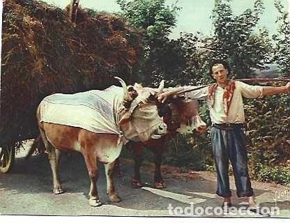Postales: Francia y el Pa&iacute;s Vasco, Arn&eacute;s y tipo de joven vasco, de Biarritz a Par&iacute;s 1970 (1044)