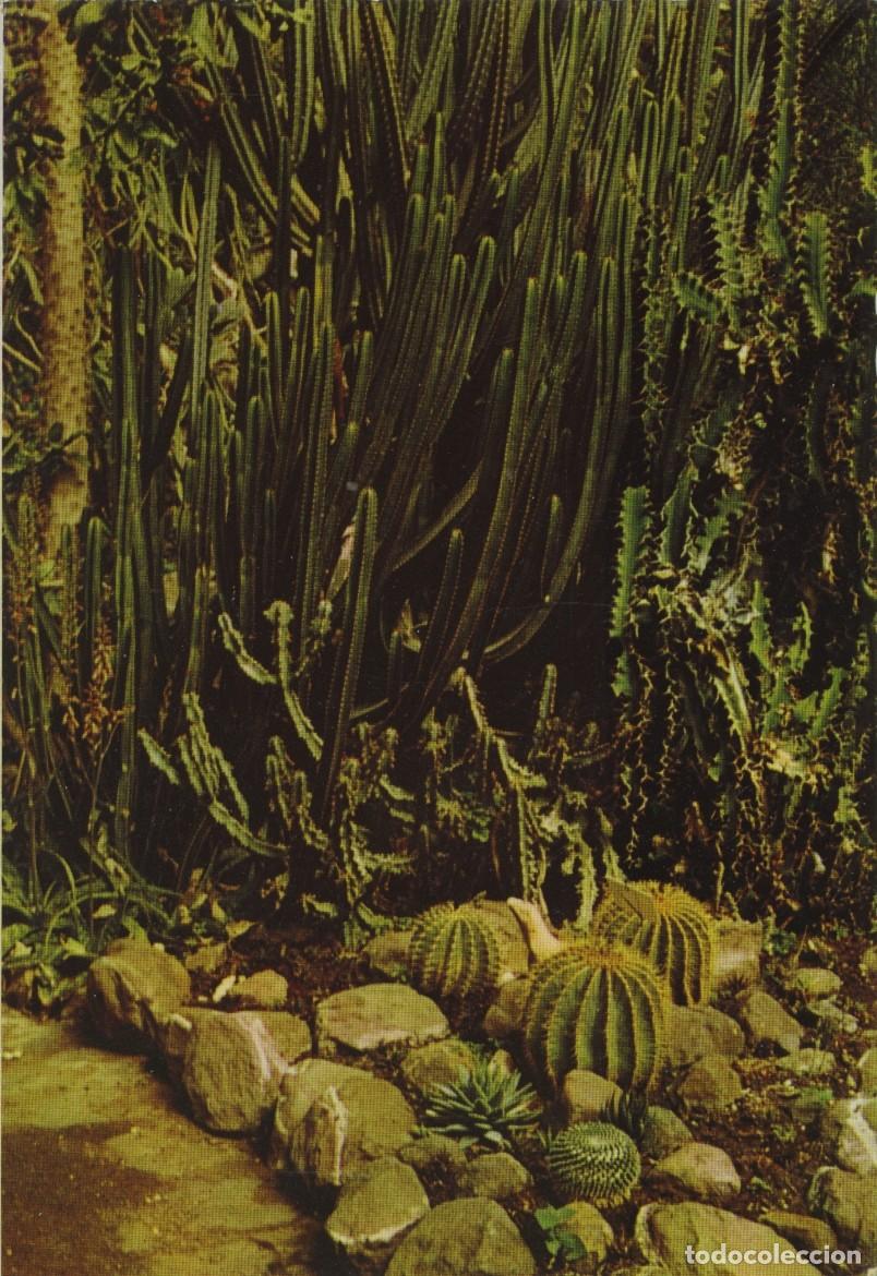 Postales: LISBOA. Portugal. Estufa fr&iacute;a. Sin circular. EDI&Ccedil;AO GRAPEMAR