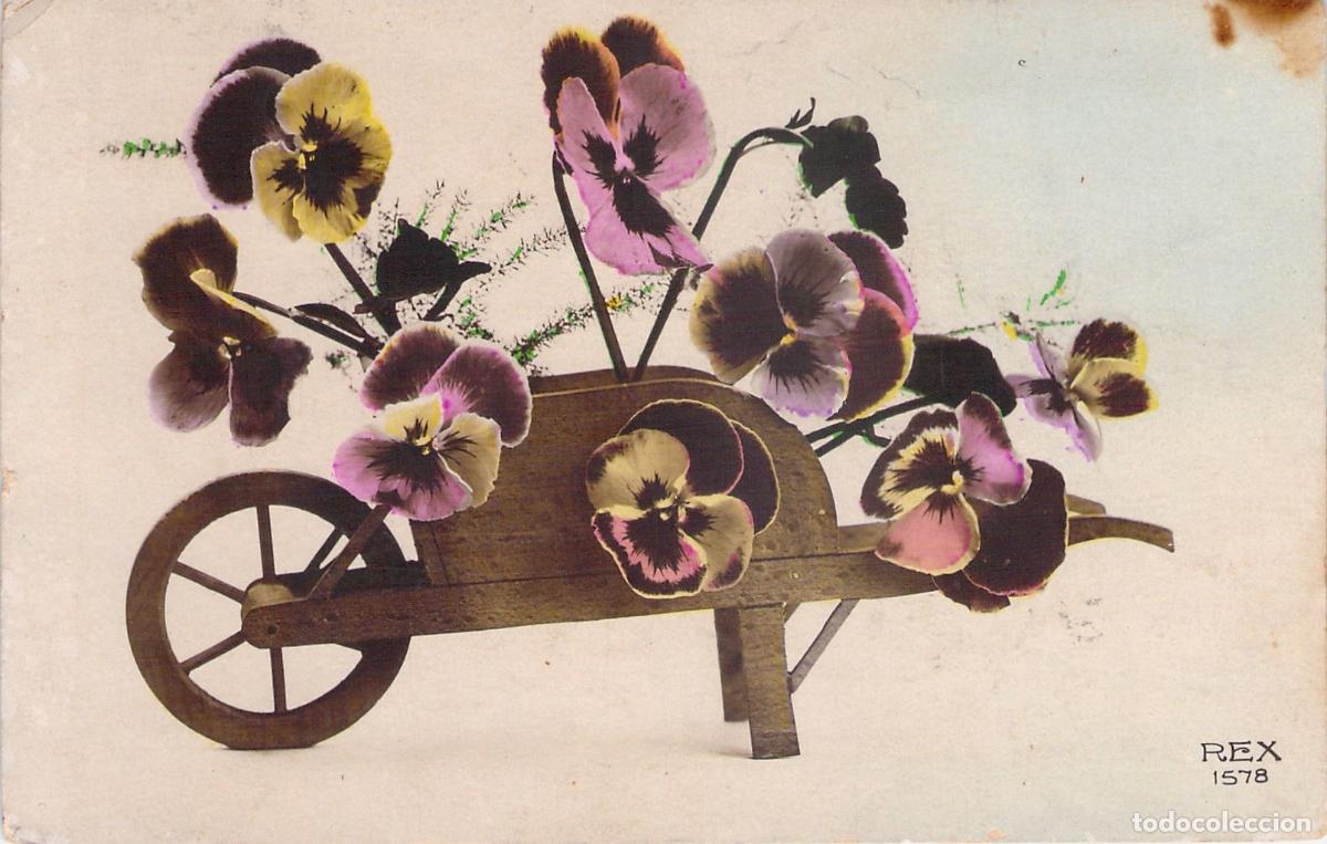 Postales: Postal de Flores con Pensamientos en Carretilla de Madera