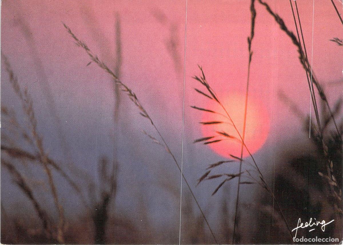 Postales: Postal Art&iacute;stica Atardecer en el Campo Edici&oacute;n Feeling Combier