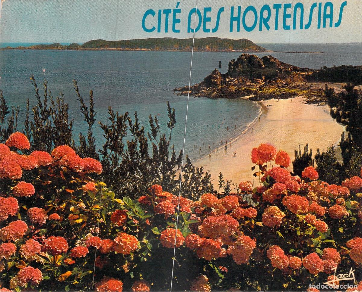 Postales: Postal de Perros-Guirec, Playa de Trestrignel y Hortensias en Breta&ntilde;a