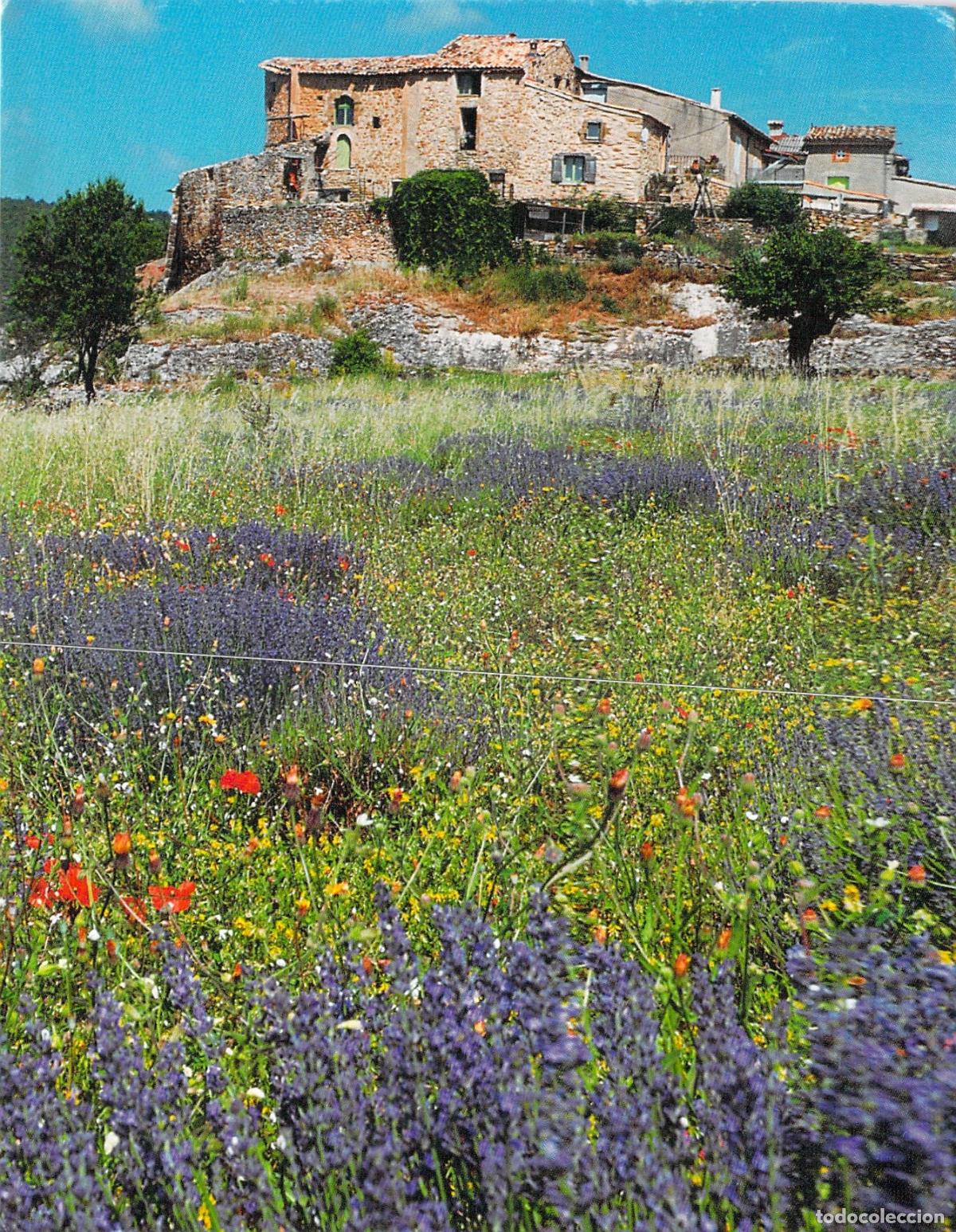 Postales: Postal Paisaje de Provenza con Campo de Lavanda y Casa de Piedra