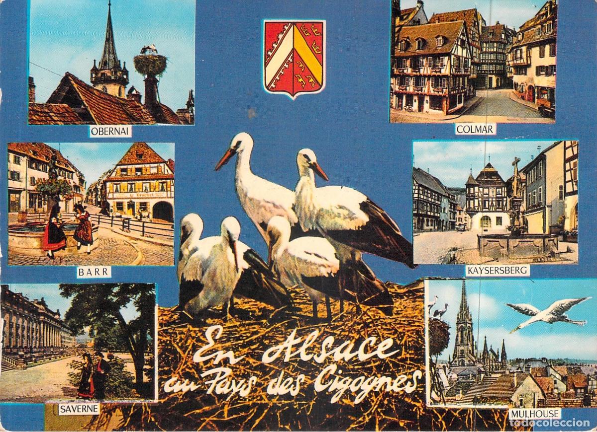 Postales: Postal de Alsacia con Cig&uuml;e&ntilde;as y Vistas Regionales