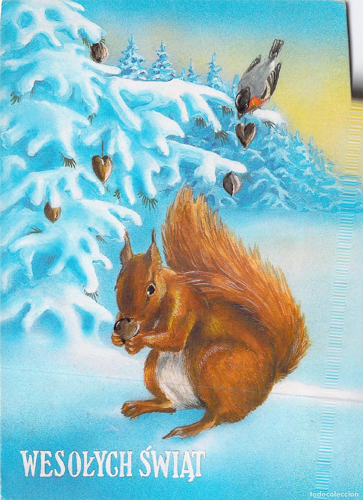 Postales: Postal Navide&ntilde;a con Ardilla y Paisaje Nevado Ilustrada por Łucja Mr&oacute;z