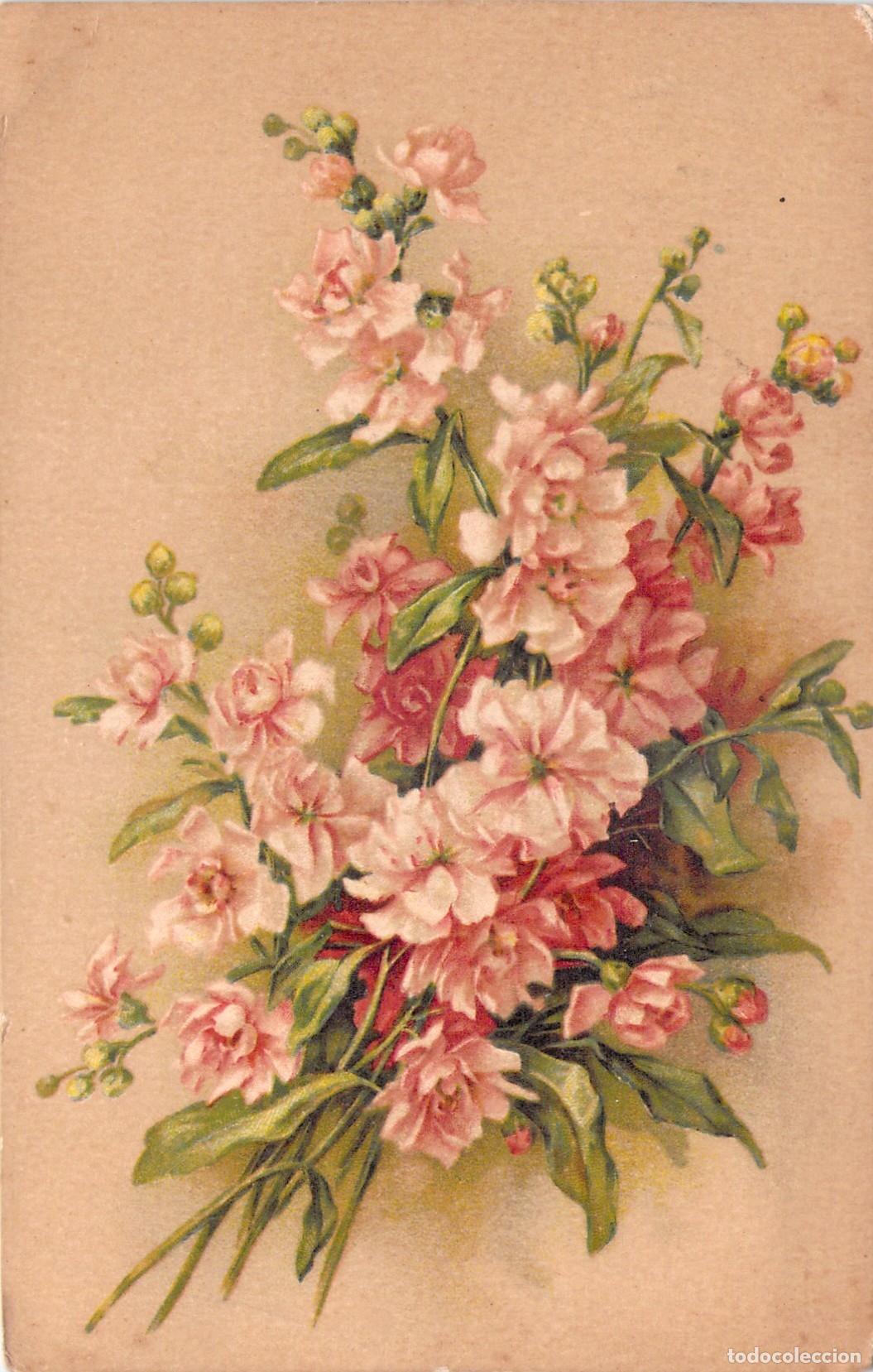 Postales: Postal Ilustrada de Flores Rosadas - Francia