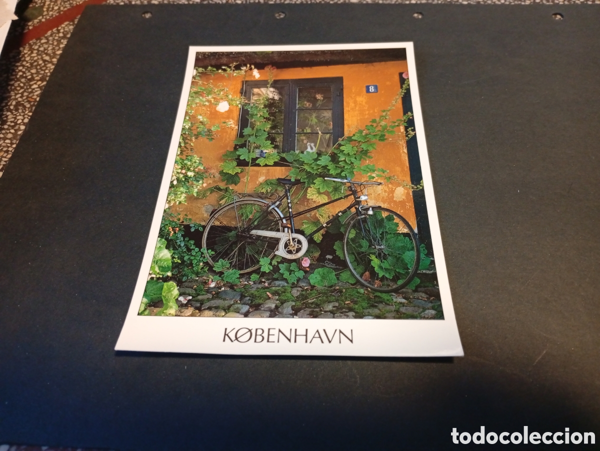 Postales: Postal Copenhague bicicleta