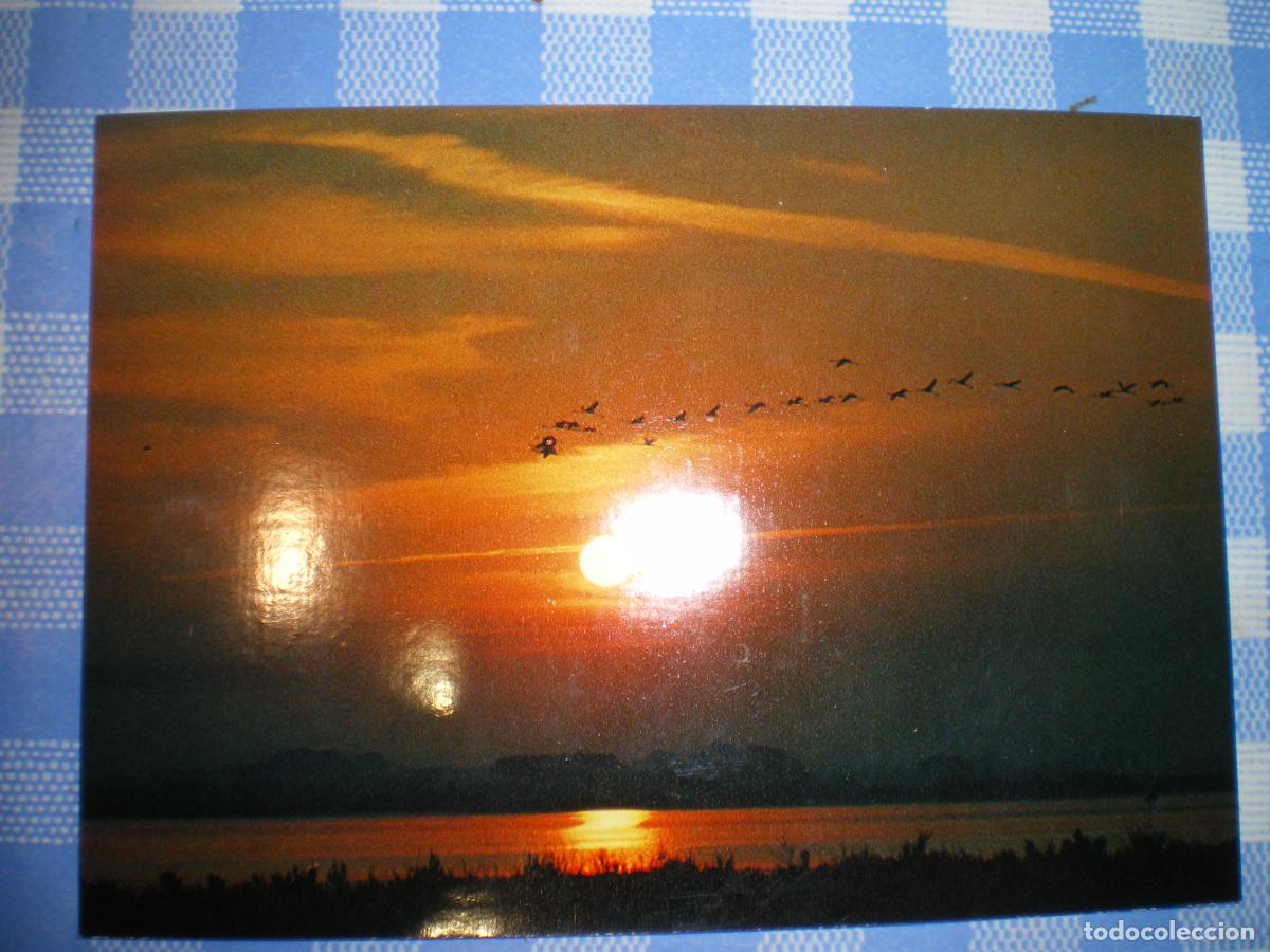 Postales: POSTAL , FRANCIA, MARSELLA