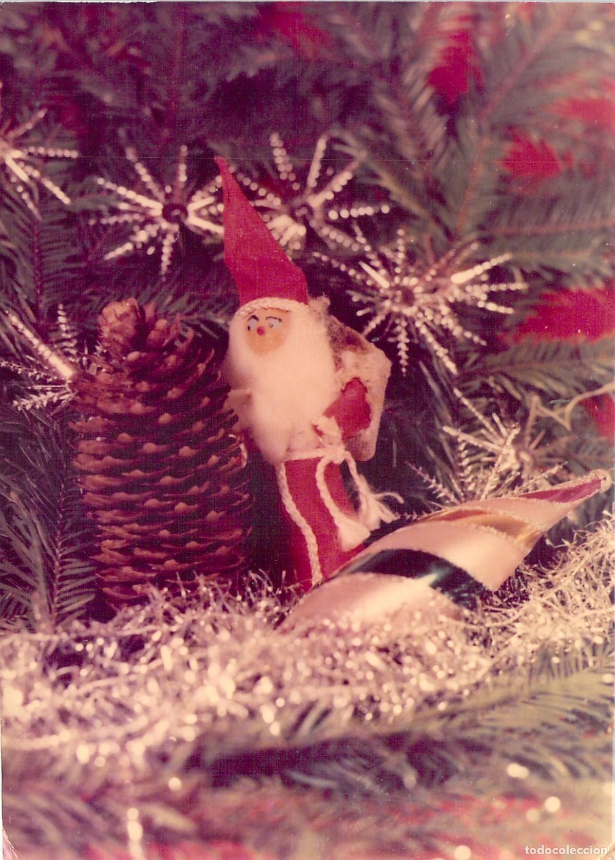 Cartoline: Postal de Navidad con Pap&aacute; Noel y Pi&ntilde;a de Pino, Polonia