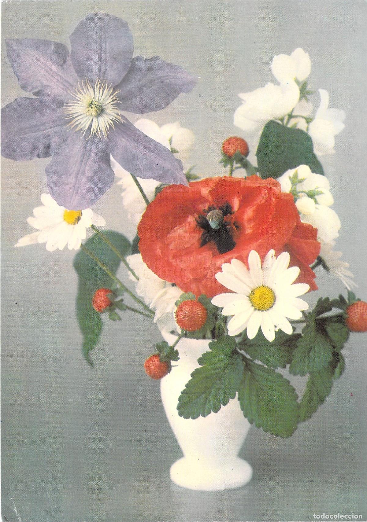 Postales: Postal de Ramo de Flores con Amapola y Margaritas