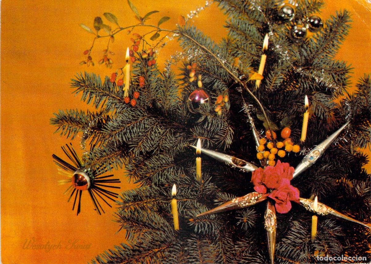 Postales: Postal de Navidad con &Aacute;rbol de Abeto y Estrella de Polonia