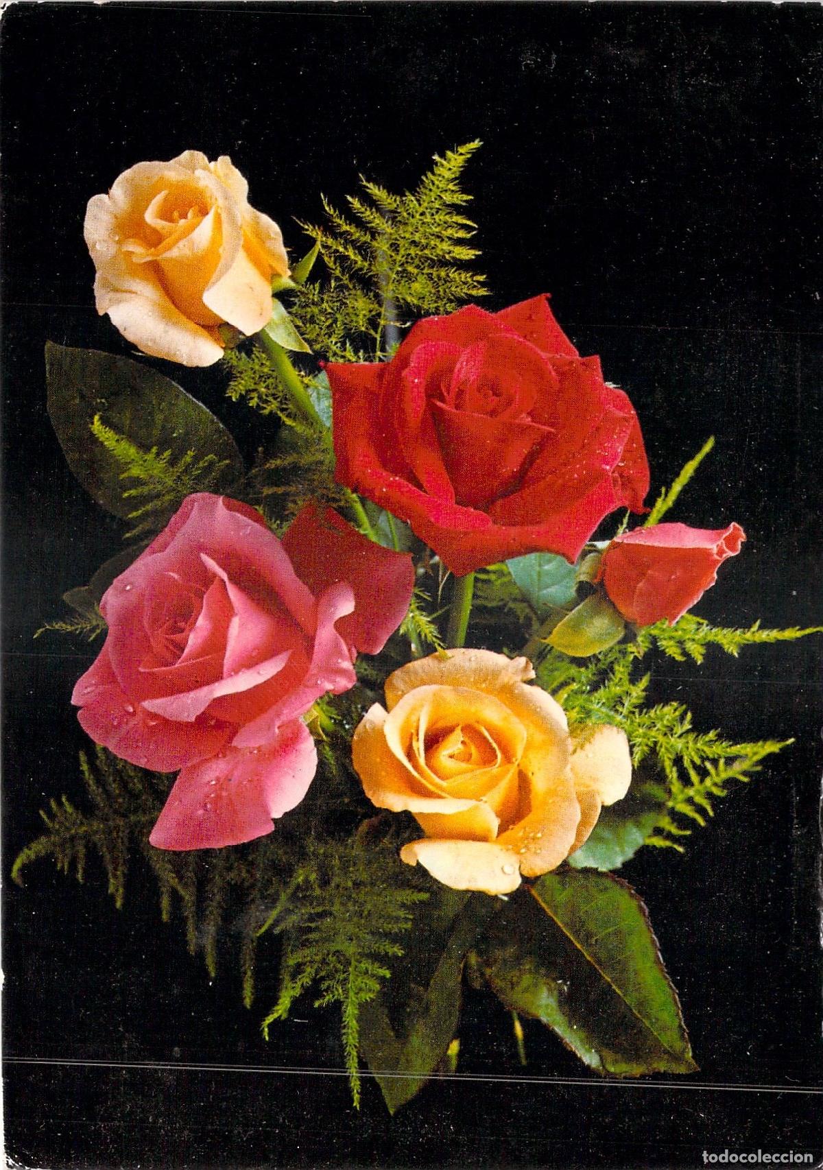 Postales: Tarjeta Postal de Ramo de Rosas Multicolor sobre Fondo Negro