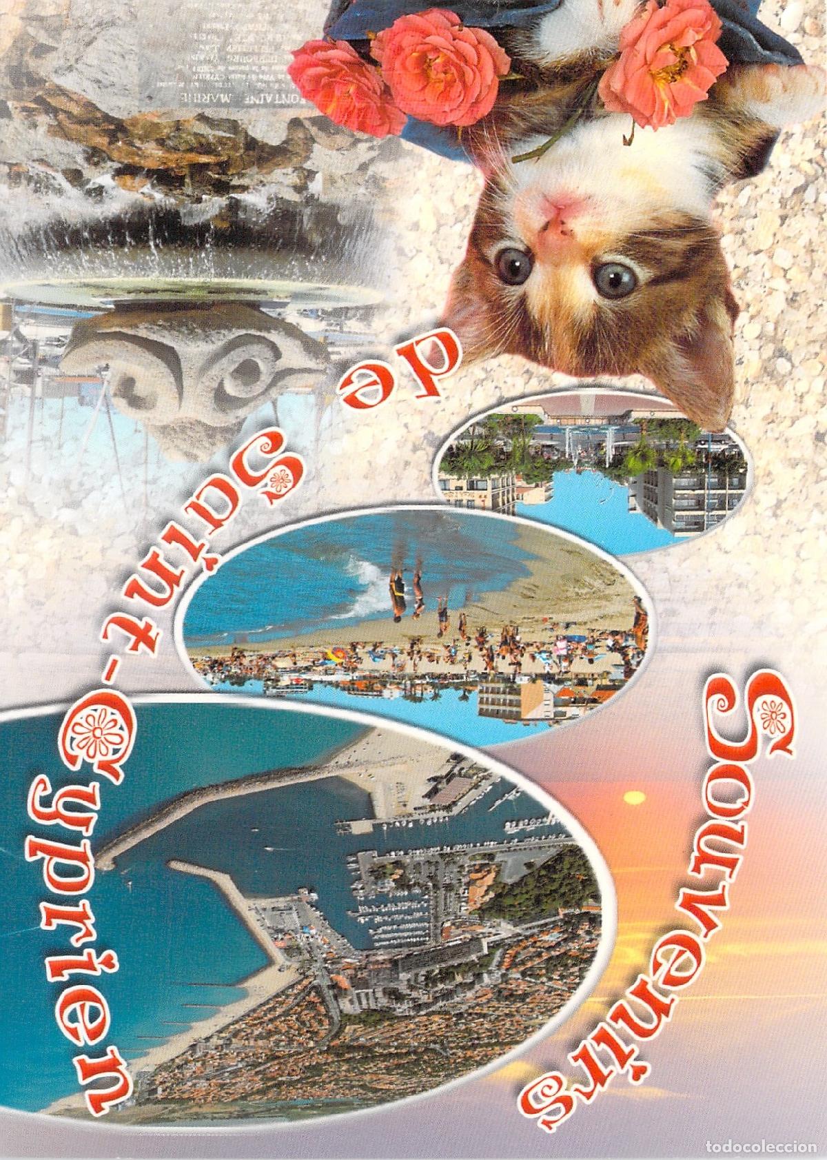 Postales: Postal de Souvenirs de Saint-Cyprien con Gatito y Paisajes Costeros