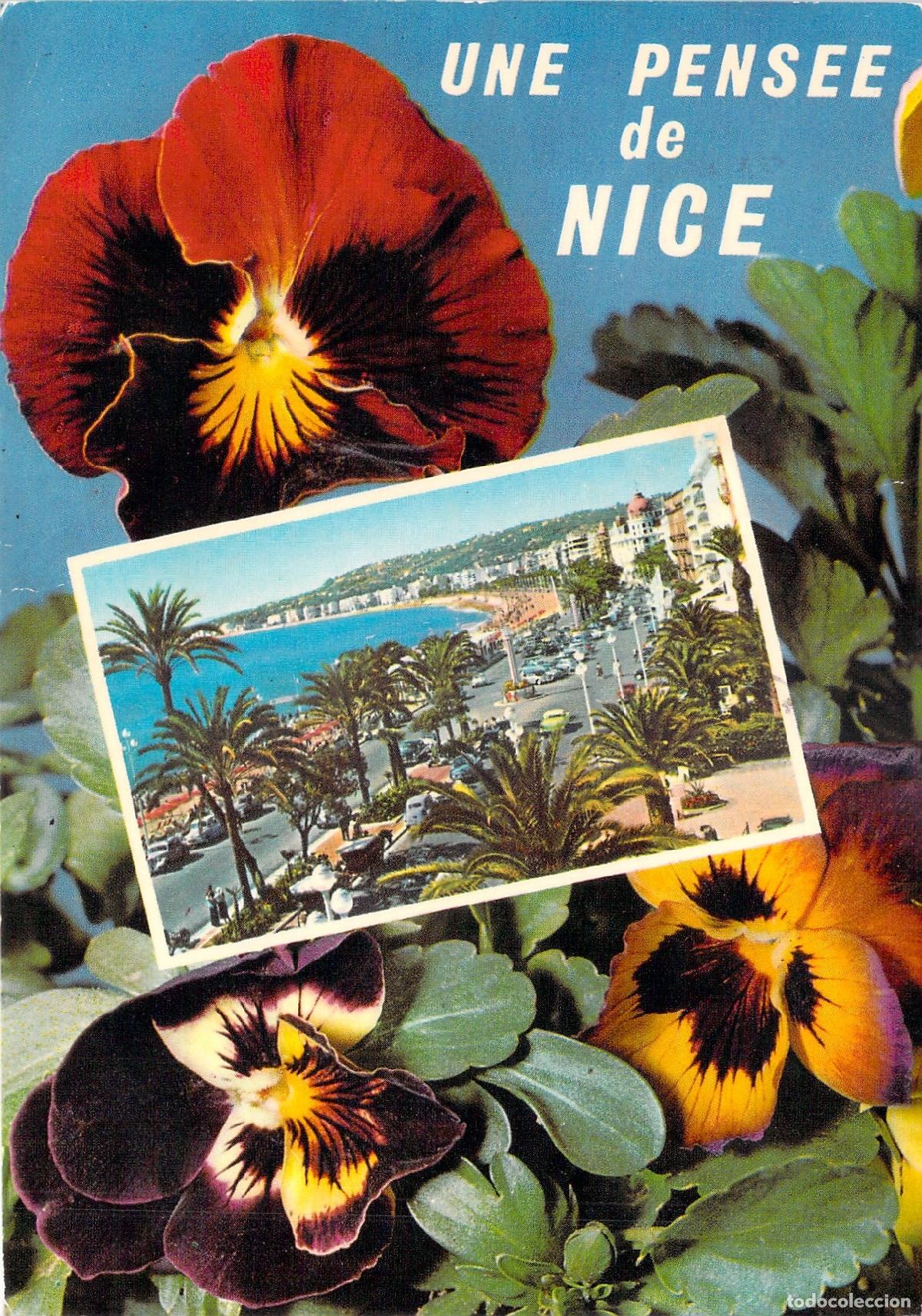 Postales: Postal de Niza con Flores y la Promenade des Anglais