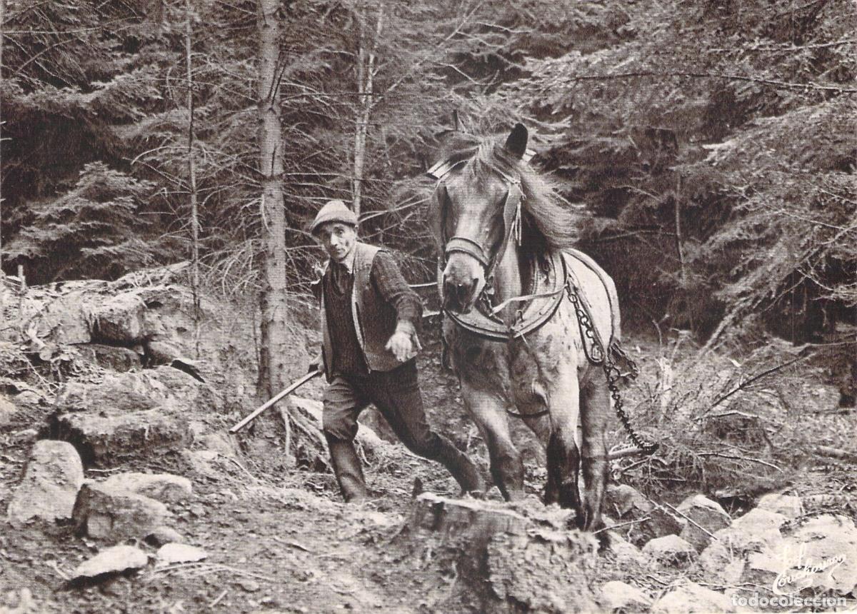 Postales: Postal Escena de Oficios Antiguos en los Vosgos Francia