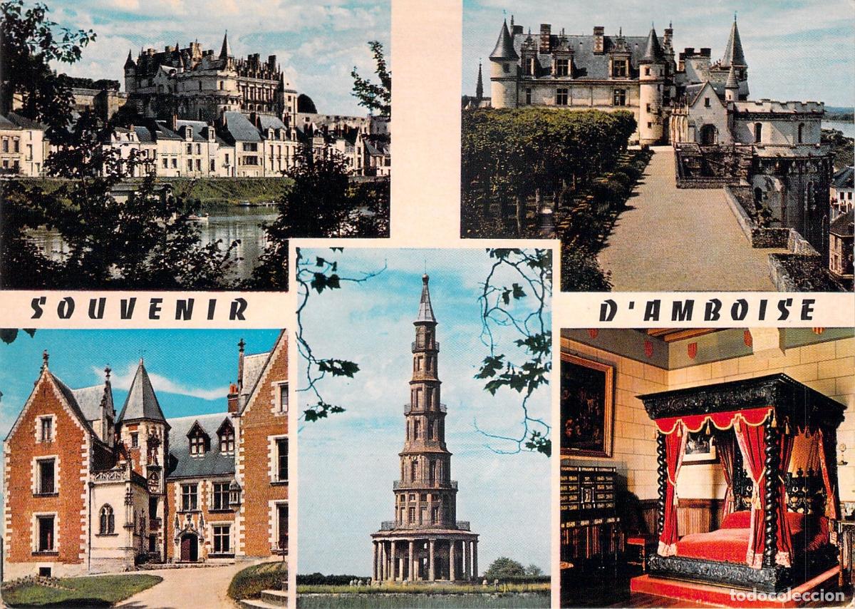 Postales: Postal Souvenir d'Amboise Francia, Castillo y Clos Luc&eacute;