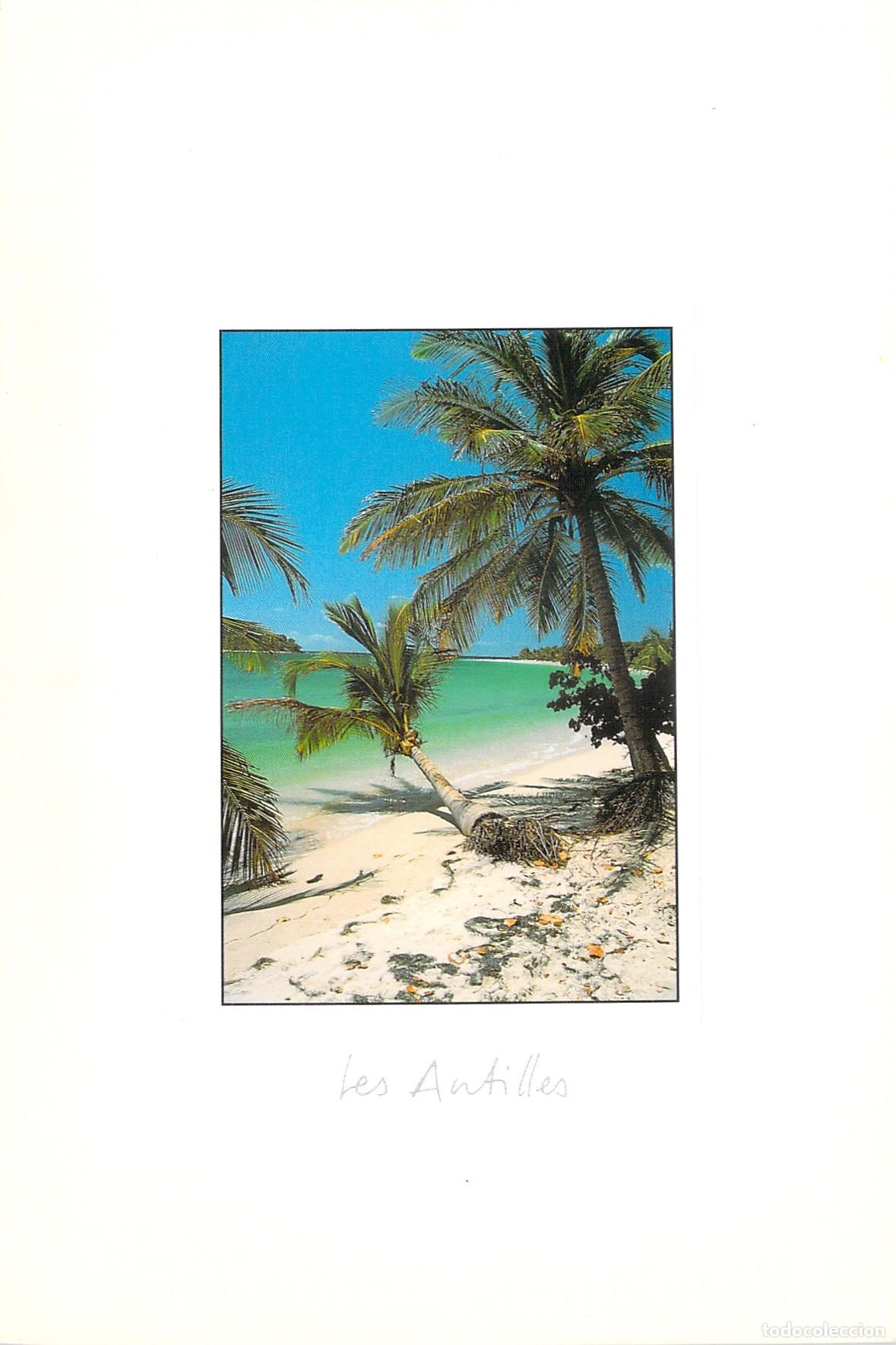 Postales: Postal de la Playa de Salines, Las Antillas, Paisaje Tropical con Palmeras