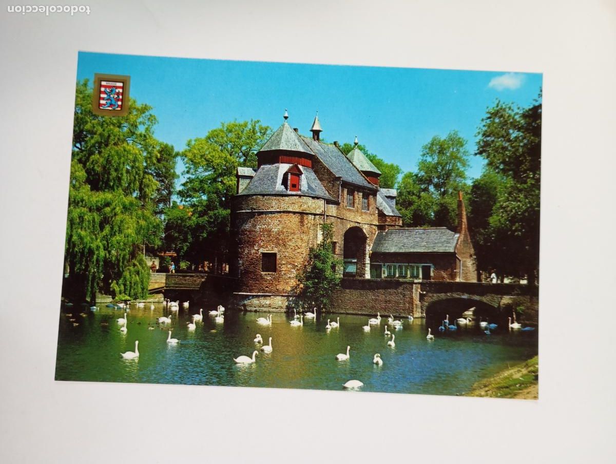 Postcards: POSTAL DE BRUJAS B&Eacute;LGICA. TDKP27Z3