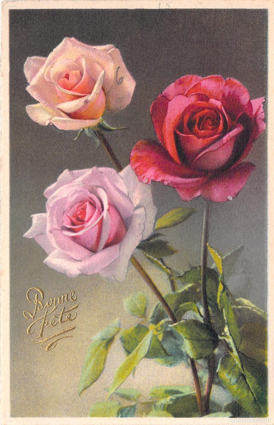 Postales: Postal Antigua de Rosas con Inscripci&oacute;n Bonne F&ecirc;te Francia