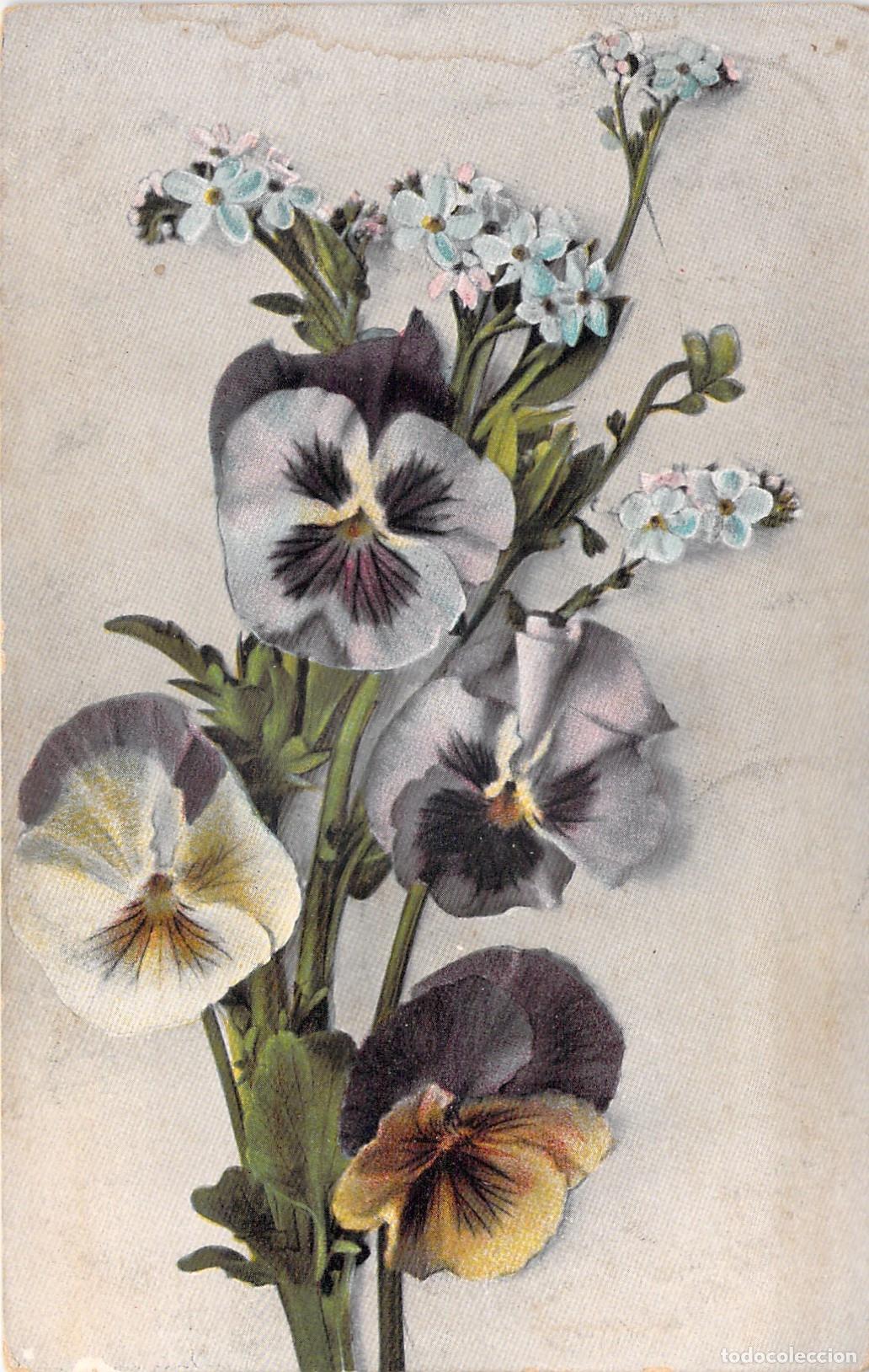 Postales: Postal de Flores Pensamientos y Miosotis con Sello Franc&eacute;s