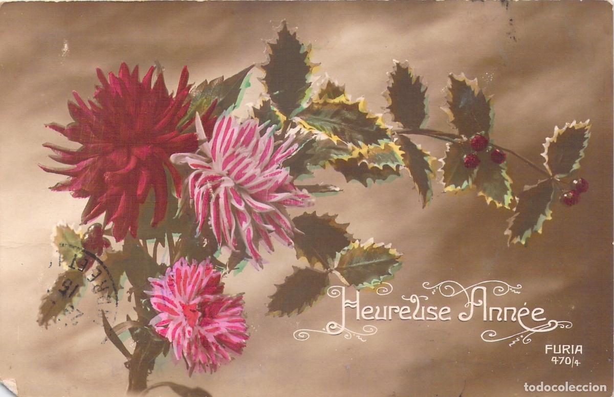 Postales: Postal de Felicitaci&oacute;n de A&ntilde;o Nuevo con Flores y Acebo