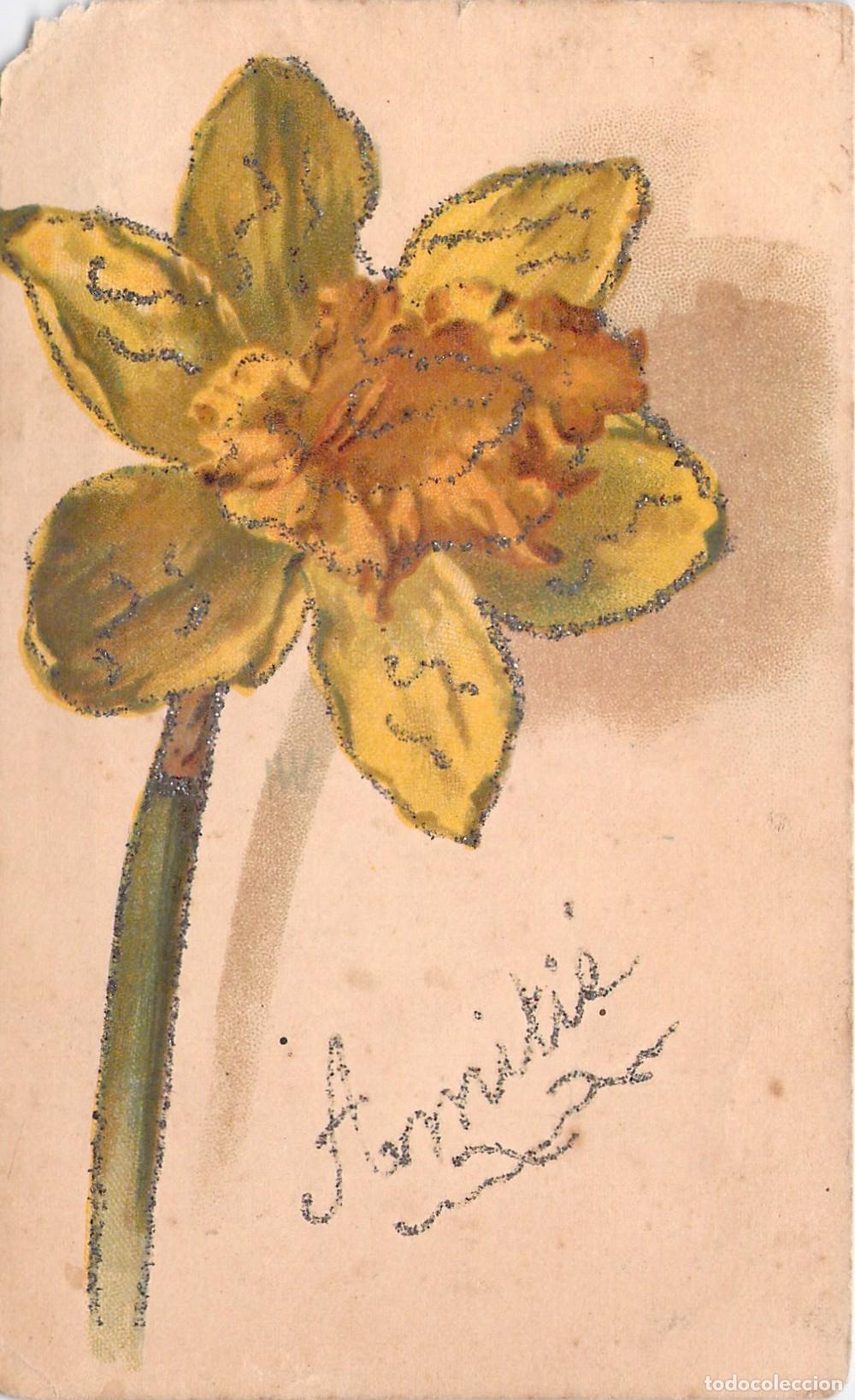Postales: Postal de Flor Narciso con Escarcha Amiti&eacute; Francia
