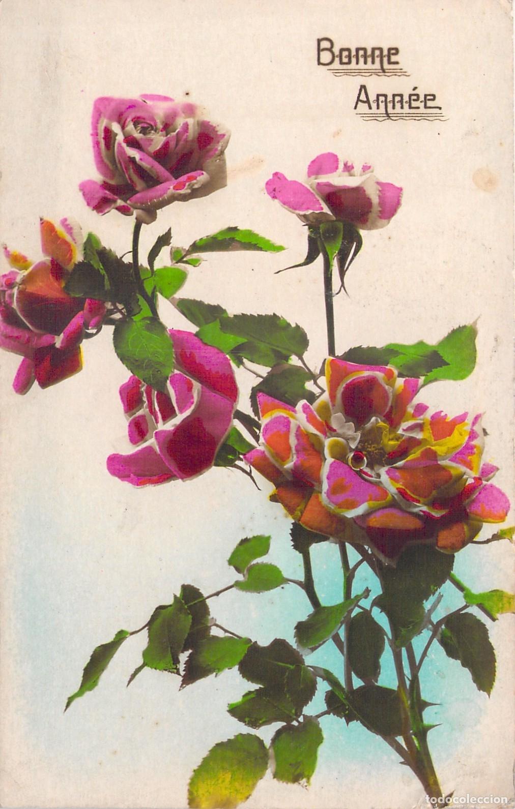 Postales: Postal de Feliz A&ntilde;o Nuevo con Rosas Francesas - Bonne Ann&eacute;e