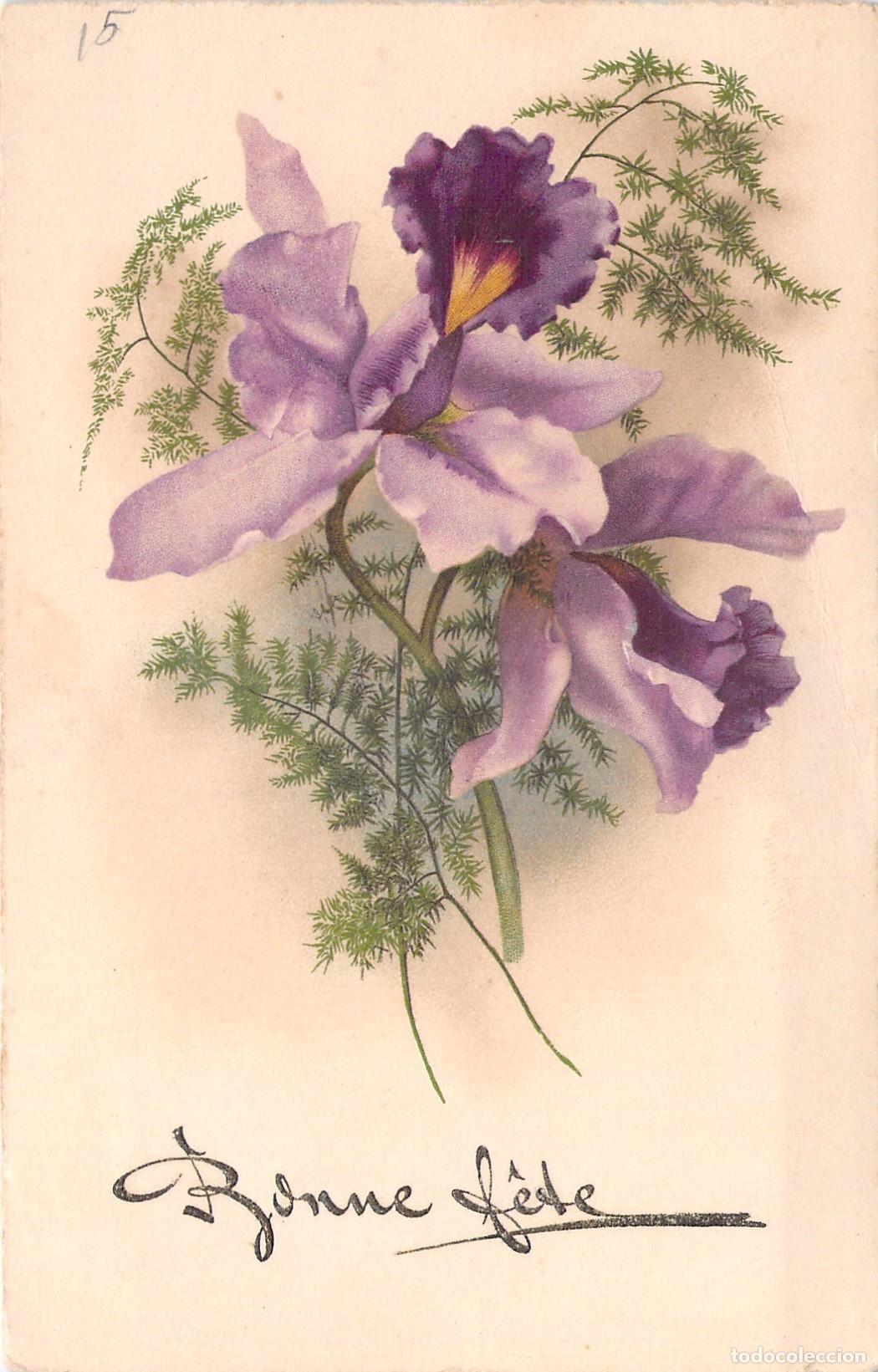 Postcards: Postal de Felicitaci&oacute;n con Ilustraci&oacute;n de Orqu&iacute;dea Morada