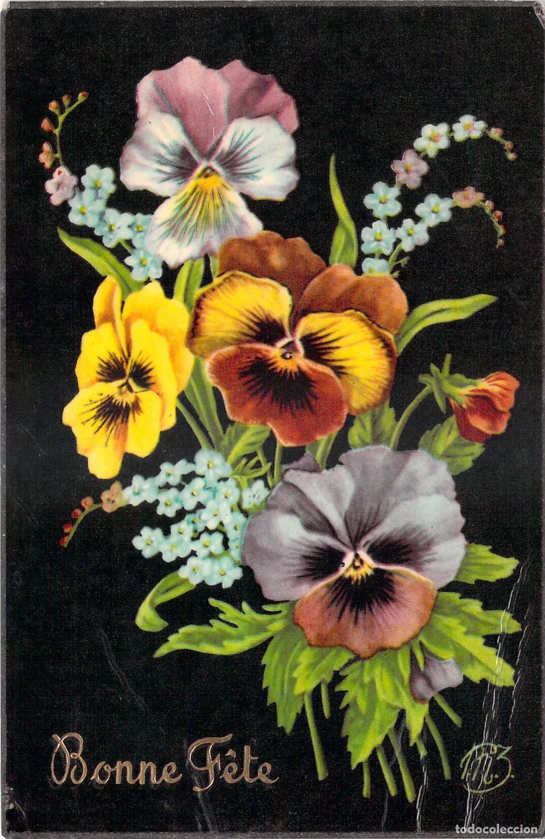 Postales: Postal Ilustrada con Flores de Pensamiento Bonne F&ecirc;te