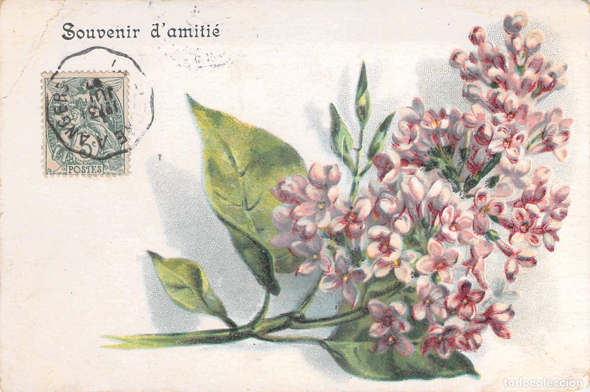 Postales: Postal Ilustrada de Flores Lilas con Mensaje Souvenir d'amiti&eacute;