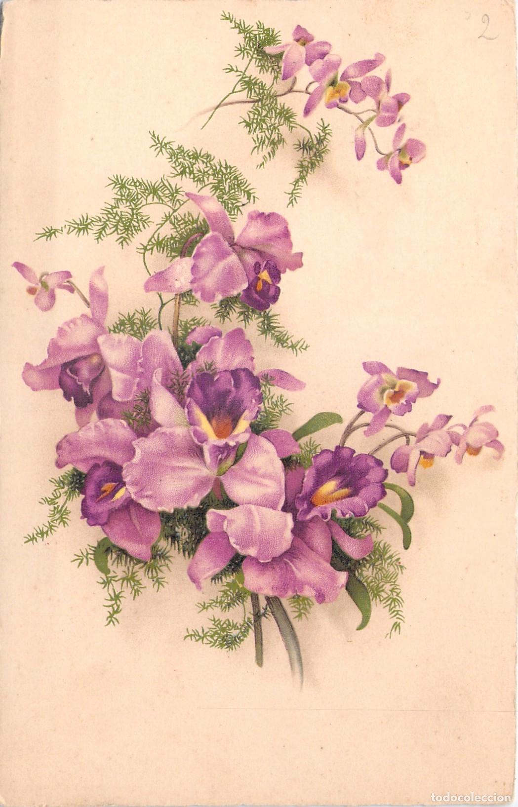 Postales: Postal Art&iacute;stica con Ilustraci&oacute;n de Orqu&iacute;deas Moradas