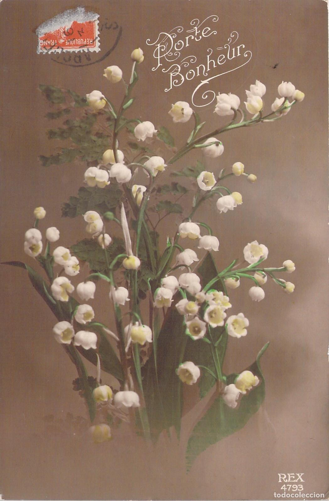 Postales: Postal Antigua con Flores de Lirio del Valle y Mensaje de Suerte