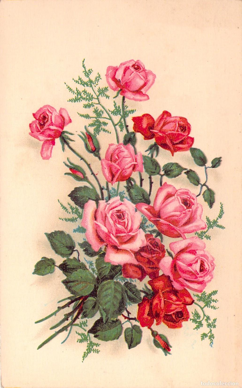 Postales: Postal Francesa con Ramo de Rosas Rosas y Rojas