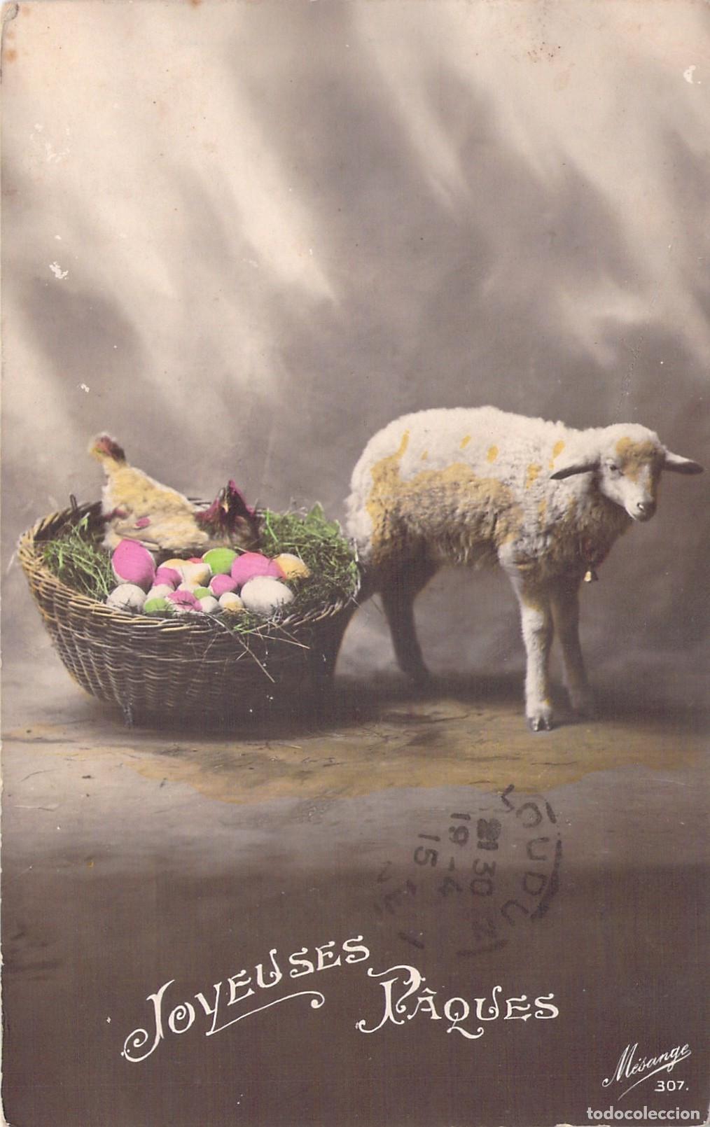 Postcards: Postal de Felices Pascuas con Oveja y Canasta de Huevos de Colores