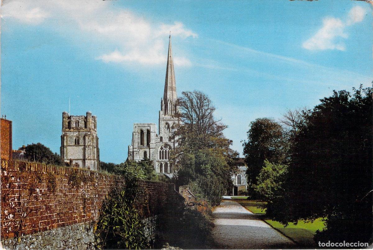 Postales: Postal de la Catedral de Chichester desde los Jardines del Palacio