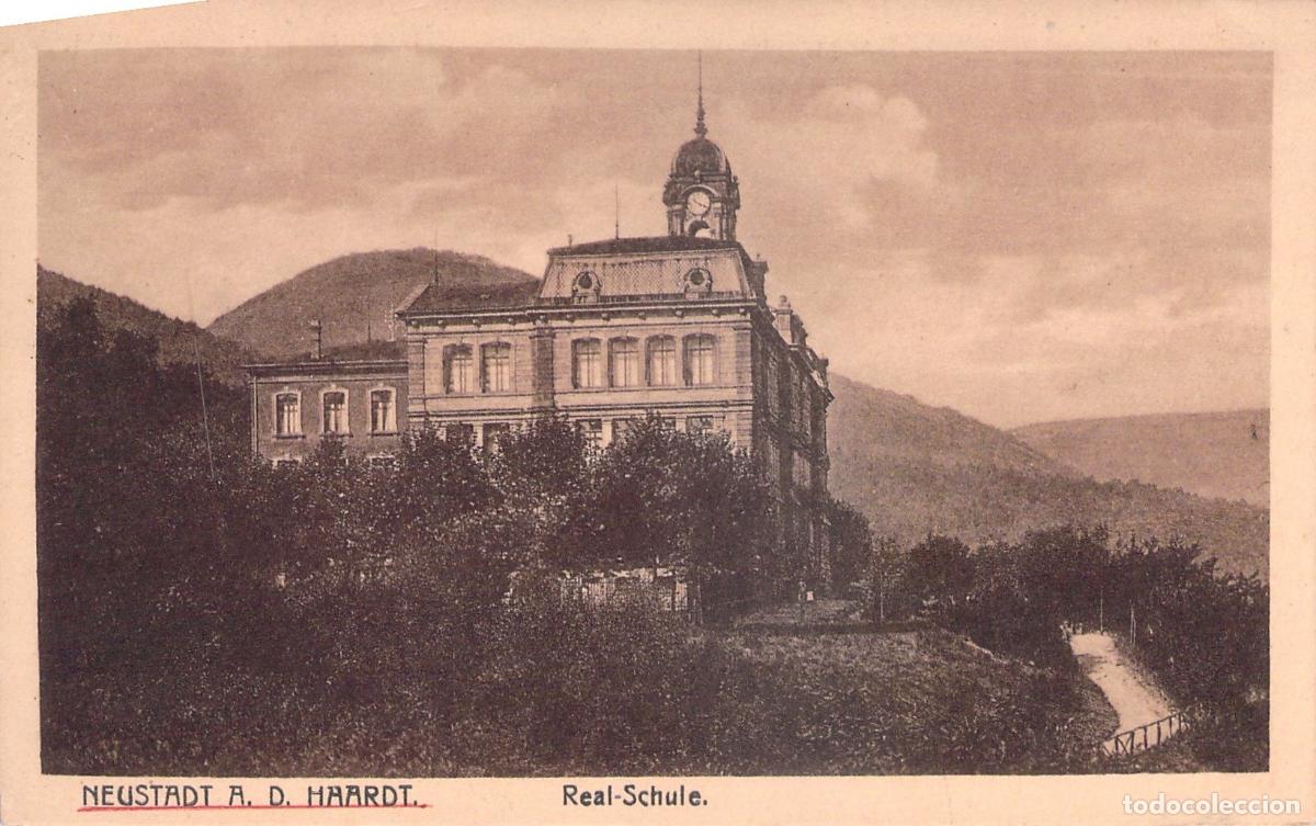 Postais: Postal de la Real-Schule en Neustadt a. d. Haardt, Alemania