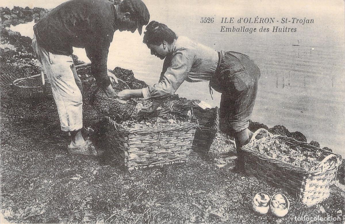 Cartoline: Postal de Saint-Trojan Isla de Ol&eacute;ron Embalaje de Ostras