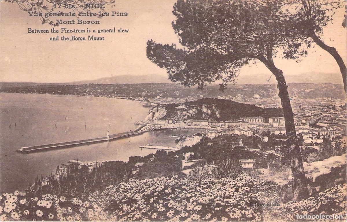 Postkarten: Postal de Niza, Francia: Vista desde el Monte Boron entre Pinos