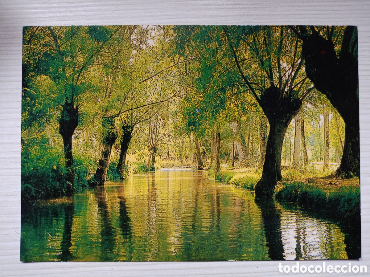 Postales: Marais Poitevin la venise verte Poitou France