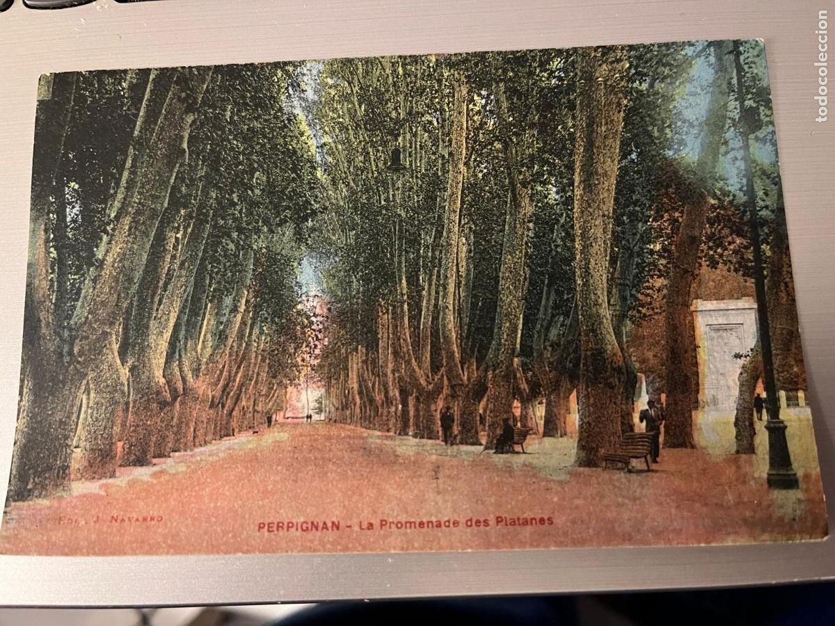 Postales: Perpignan la Promenade des Platanes sin circular